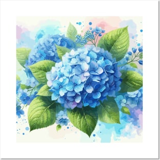 Blue Hydrangea Flowers Posters and Art